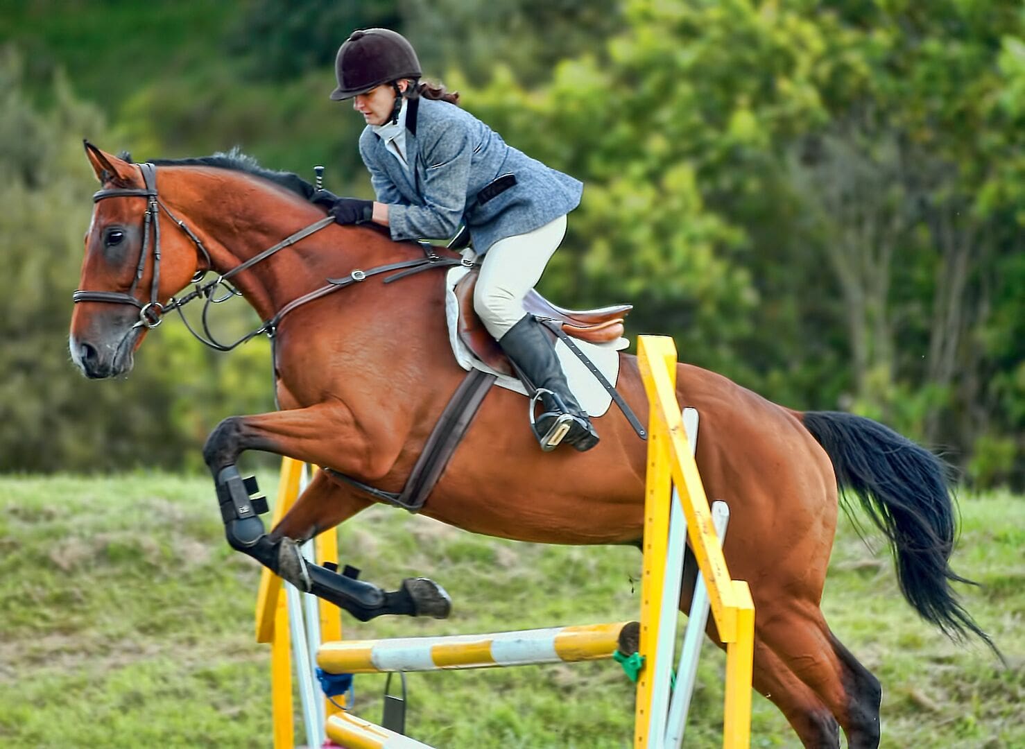 Fact-Based Reporting on Current Events, Global Issues, and Cultural Shifts